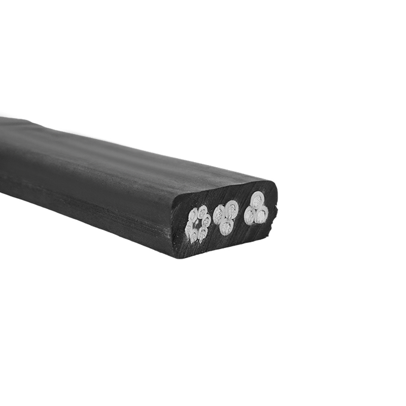 สายยางทั่วไปแบนปานกลาง