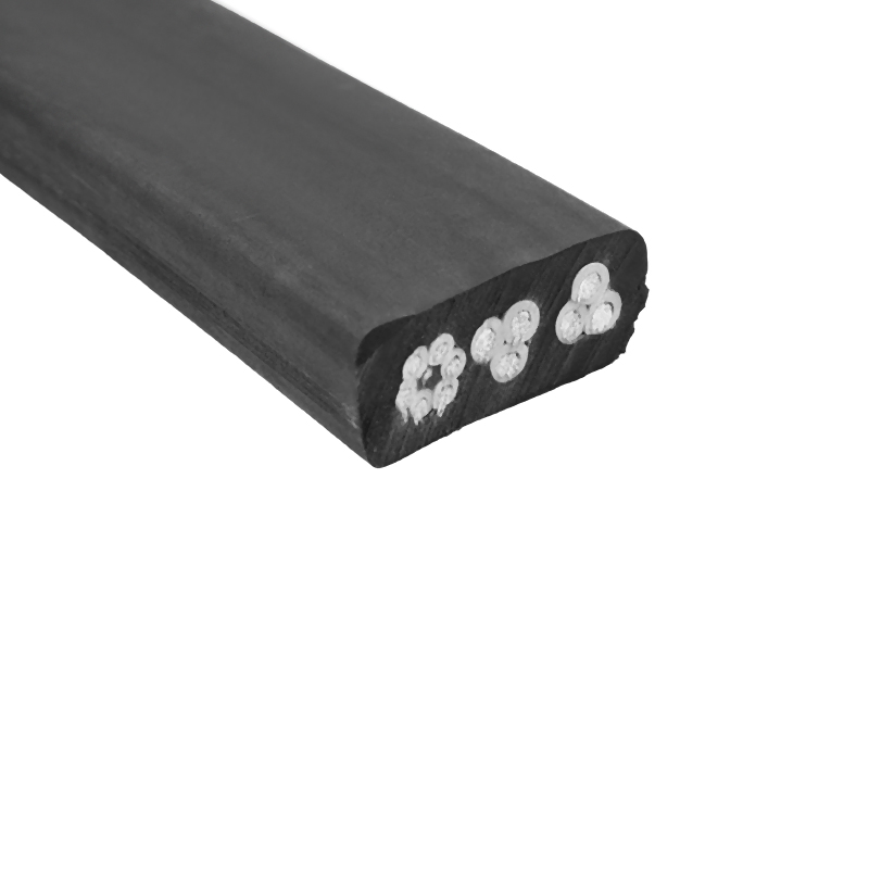 สายยางทั่วไปแบนปานกลาง