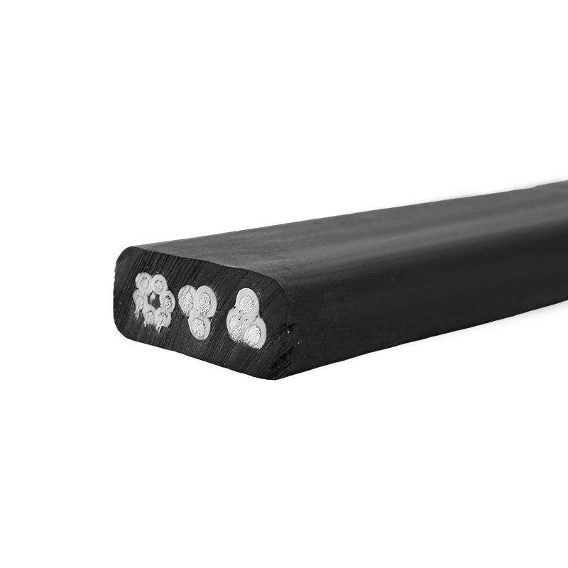 สายยางทั่วไปแบนปานกลาง